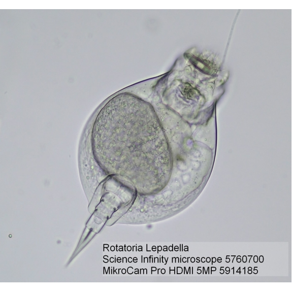 Caméra de Microscope BRESSER MikroCam Pro HDMI 5MP-Lire la description