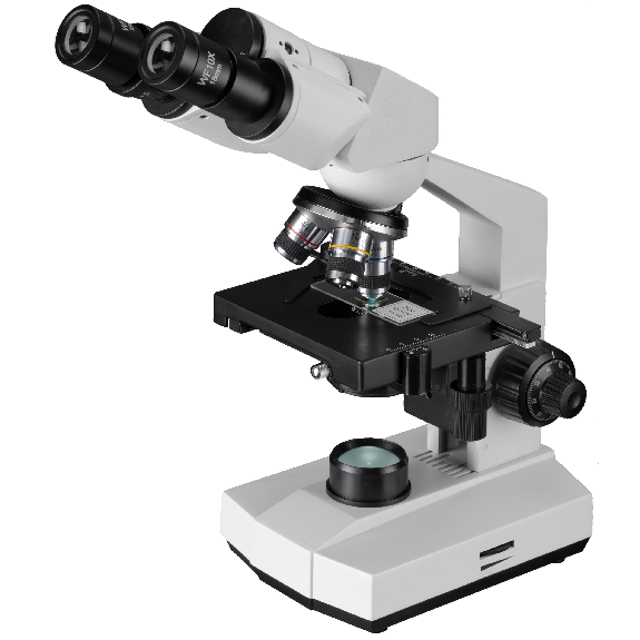 Lupa Binocular BRESSER Erudit Basic Bino 40x-400x (23)-Leer más