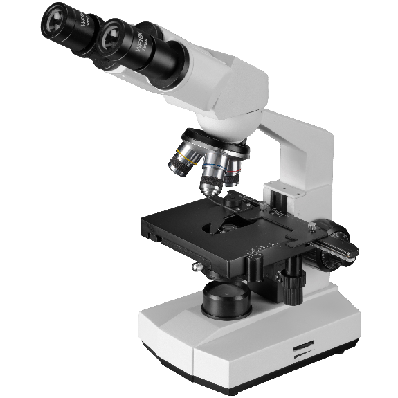 Lupa Binocular BRESSER Erudit Basic Bino 40x-400x (23)-Leer más