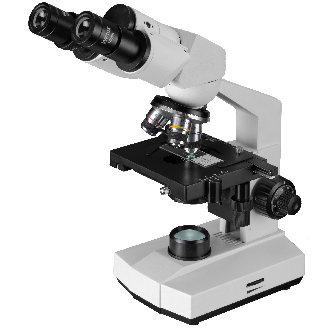 Lupa Binocular BRESSER Erudit Basic Bino 40x-400x (23)-Leer más