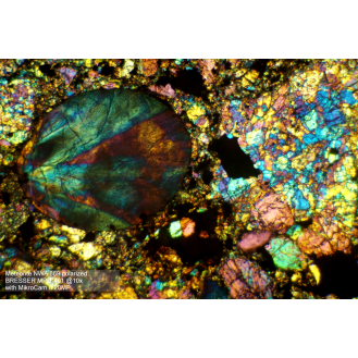 Cámara de microscopio BRESSER MikroCam II 20 MP - sensor de  1''-Leer más