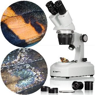 Lupa Binocular Researcher ICD LED 20x-80x BRESSER-Leer más