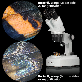 Lupa Binocular Researcher ICD LED 20x-80x BRESSER-Leer más