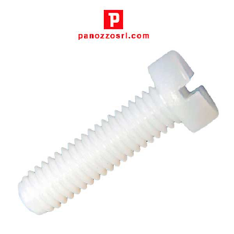 Vite in plastica a testa cilindrica DIN84 M2X10mm - Colore Naturale - Prezzo per multipli di 100 pz.-Leggi tutto