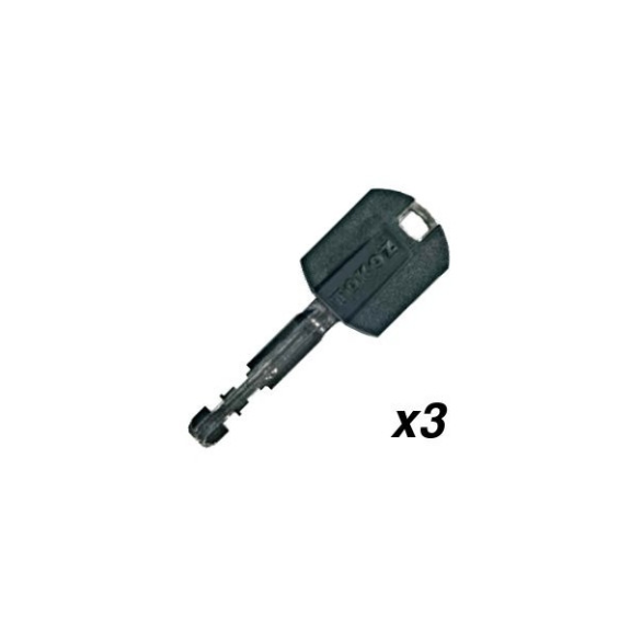 Cadenas de haute sûreté Gama Pro 40-Lire la description