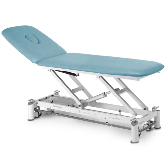 Table de massage électrique 2 plans avec dossier inclinable-Lire la description