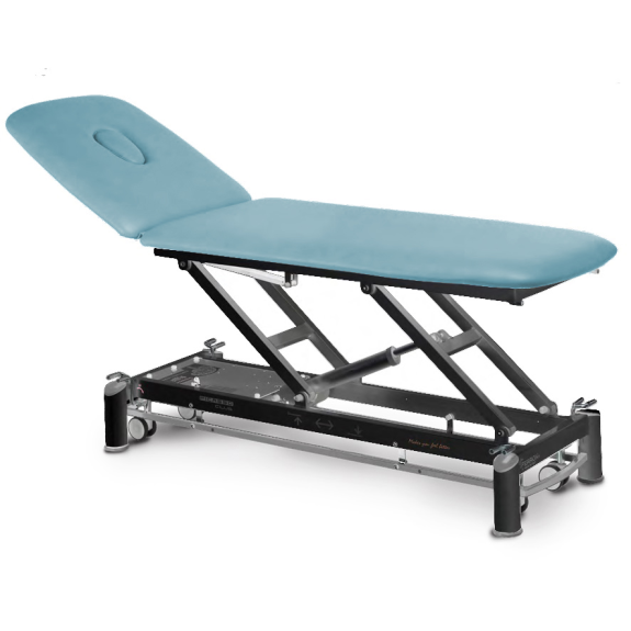 Table de massage électrique 2 plans avec dossier inclinable-Lire la description