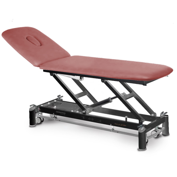 Table de massage électrique 2 plans avec dossier inclinable-Lire la description