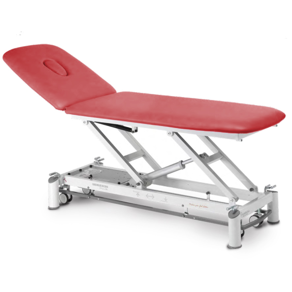 Table de massage électrique 2 plans avec dossier inclinable-Lire la description