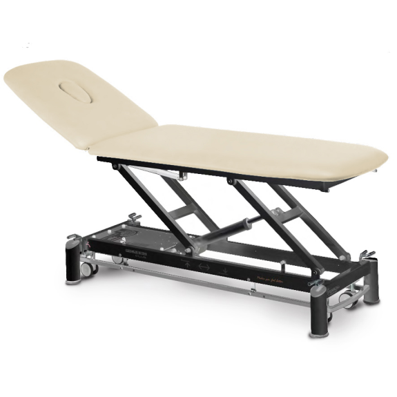 Table de massage électrique 2 plans avec dossier inclinable-Lire la description