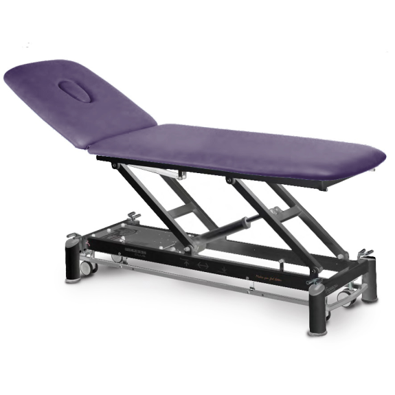 Table de massage électrique 2 plans avec dossier inclinable-Lire la description