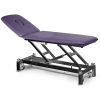Table de massage électrique 2 plans avec dossier inclinable