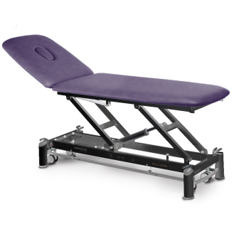 Table de massage électrique 2 plans avec dossier inclinable-Lire la description