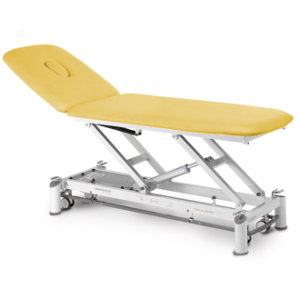 Table de massage électrique 2 plans avec dossier inclinable-Lire la description
