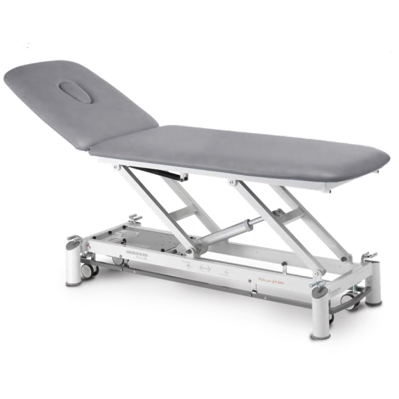 Table de massage électrique 2 plans avec dossier inclinable-Lire la description