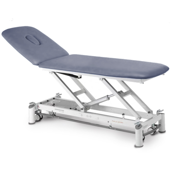 Table de massage électrique 2 plans avec dossier inclinable-Lire la description