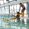 Sedia da bagno anfibia Sofao