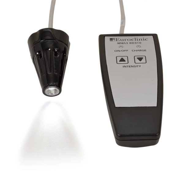 Source de lumière pour endoscope ED310-Lire la description