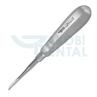 Elevatore dentale in acciaio inossidabile-Leggi tutto