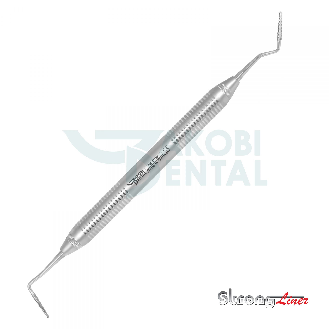 Scaler dentale in acciaio inossidabile-Leggi tutto
