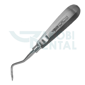 Elevatore dentale dritto in acciaio inossidabile-Leggi tutto