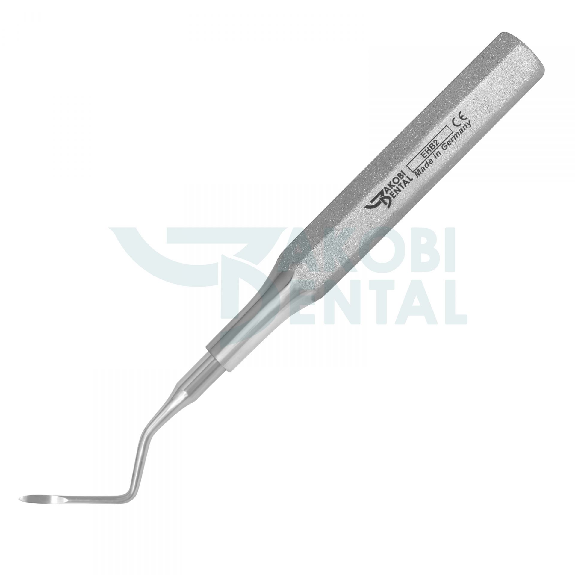 Elevatore dentale in acciaio inossidabile-Leggi tutto