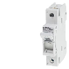 Fusibile D01 1 polo 6 A 230 V
