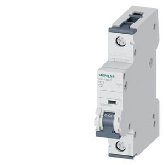 Interruttore automatico modulare 1 polo 2A-Leggi tutto