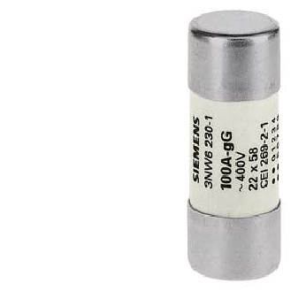 Fusibile cilindrico 80A 22x58 mm-Leggi tutto