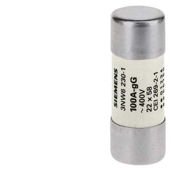 Fusibile cilindrico 80A 22x58 mm-Leggi tutto