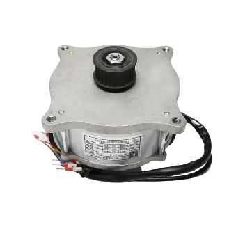Moteur de portail 50W pour systèmes ESHINE-Lire la description