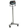 Bodenwaage in U-Form mit Display