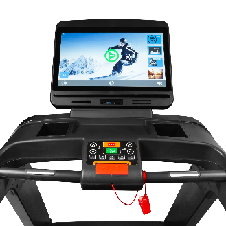Tapis de course professionnel avec simulateur de course-Lire la description