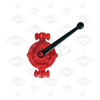 Manuelle Pumpe 2 m3/h aus grauem Guss mit Messingmechanismus-Beschreibung lesen