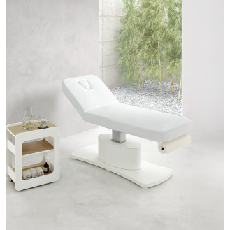 Table de massage électrique à double colonne-Lire la description