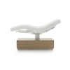 Table de massage électrique 3 moteurs