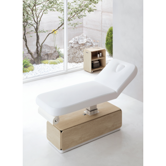 Table de massage électrique 3 moteurs-Lire la description