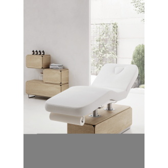 Table de massage électrique à double colonne-Lire la description