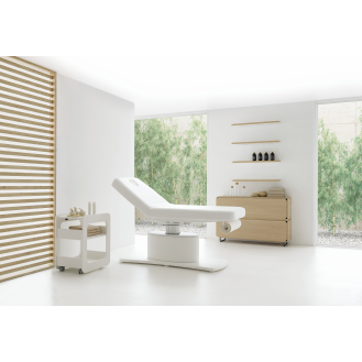 Table de massage électrique à double colonne-Lire la description