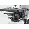 Microscope à lumière transmise avec éclairage halogène