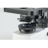 Microscope de contraste de phase OBL 156