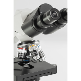 Microscope à lumière transmise OBS 106-Lire la description