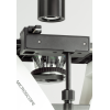 Microscope inversé OCM 168-2022e