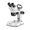 Microscope binoculaire OSF 439