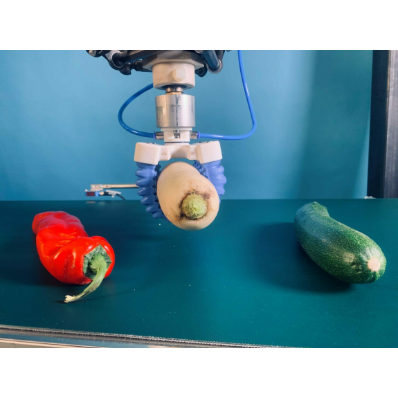 SoftGripper 4 doigts parallèles certifié FDA 15°-Lire la description