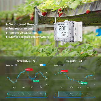 GS1 - Enregistreur de données avec WiFi et LTE-Lire la description