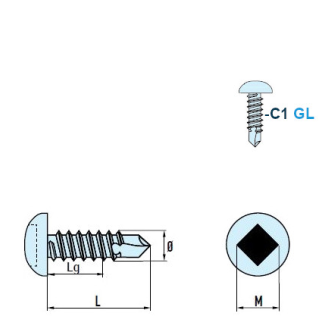 DIN 7504 SQ Vis Autoforeuse-Tête Cylindrique Bombée (SQ) Empreinte Carrée C1 GL 4,2x16 mm avec SQ Bit 50mm - 1000 pièces-Lire la description