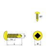 DIN 7504 SQ Vis Autoforeuse-Tête Cylindrique Bombée (SQ) Empreinte Carrée Acier zingué 4,8x25 mm avec SQ Bit 50mm - 500 pièces