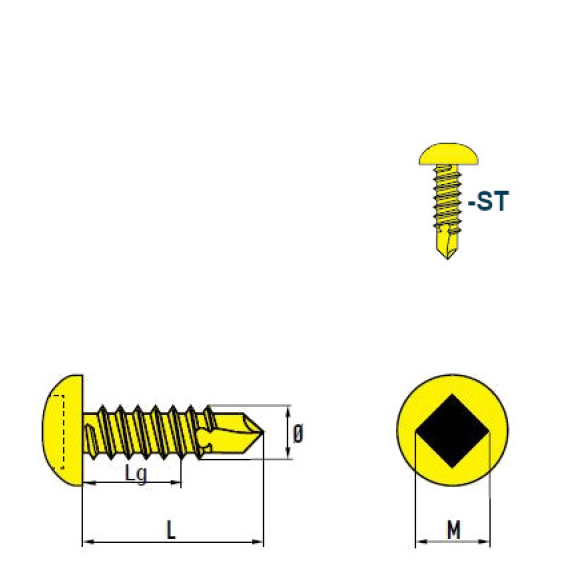 DIN 7504 SQ Vis Autoforeuse-Tête Cylindrique Bombée (SQ) Empreinte Carrée Acier zingué 4,8x25 mm avec SQ Bit 50mm - 500 pièces-Lire la description