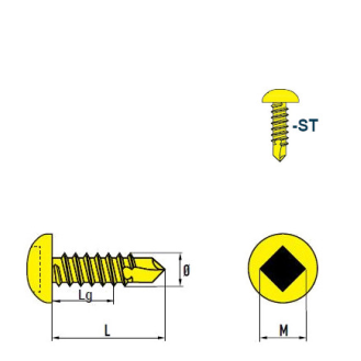 DIN 7504 SQ Vis Autoforeuse-Tête Cylindrique Bombée (SQ) Empreinte Carrée Acier zingué 4,8x13 mm avec SQ Bit 50mm - 1000 pièces-Lire la description